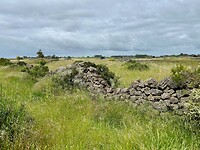 Tumuli