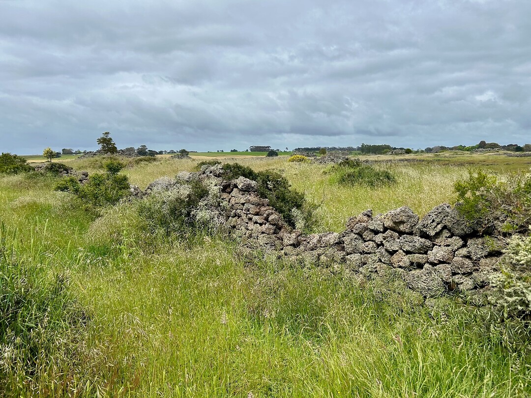 Tumuli