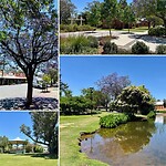 Deniliquin
