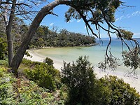 Jetty Beach