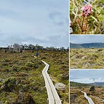 Moorland mosaic trail