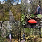 Franklin-Gordon Wild Rivers National Park
