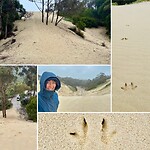 Henty Dunes (in de regen...)