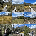 Cradle Mountain Valley Boardwalk