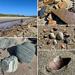 Wandeling naar de petroglyfen bij Nelson Bay