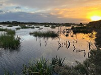 Vanuit de birdhide in Narawntapu National Park