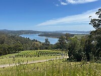 Brady's Lookout