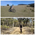 Op de fiets Maria Island verkennen...