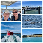 Met de boot naar Maria Island