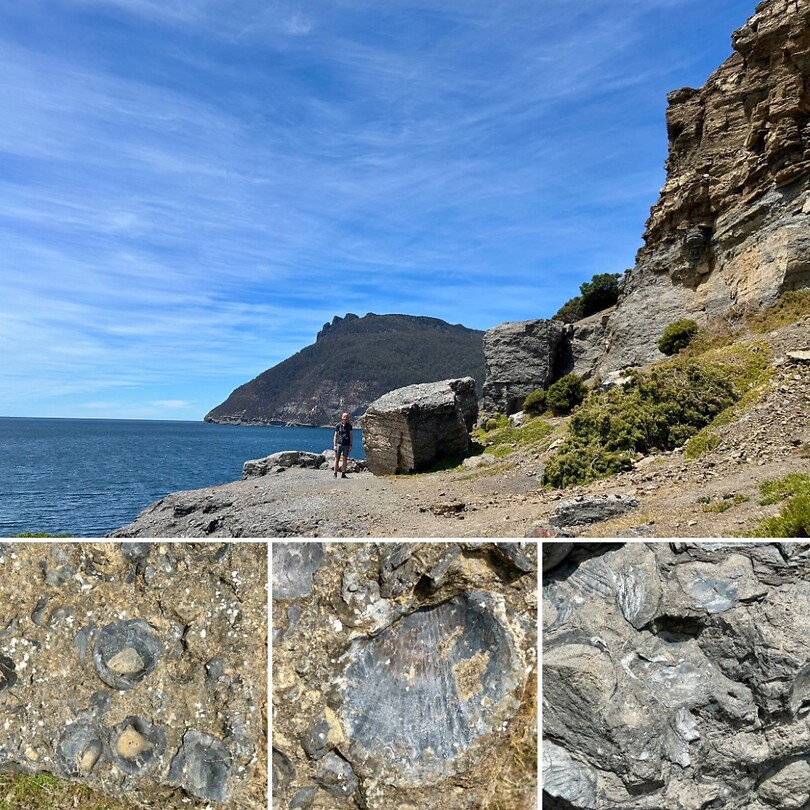 Fossil Cliffs