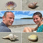 Lunchen op één van de mooie strandjes van Maria Island