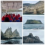 Tasman Island Wilderness Cruise