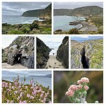 Maignon Lookout, Remarkable Cave, Blowhole en bloemen langs het wandelpad