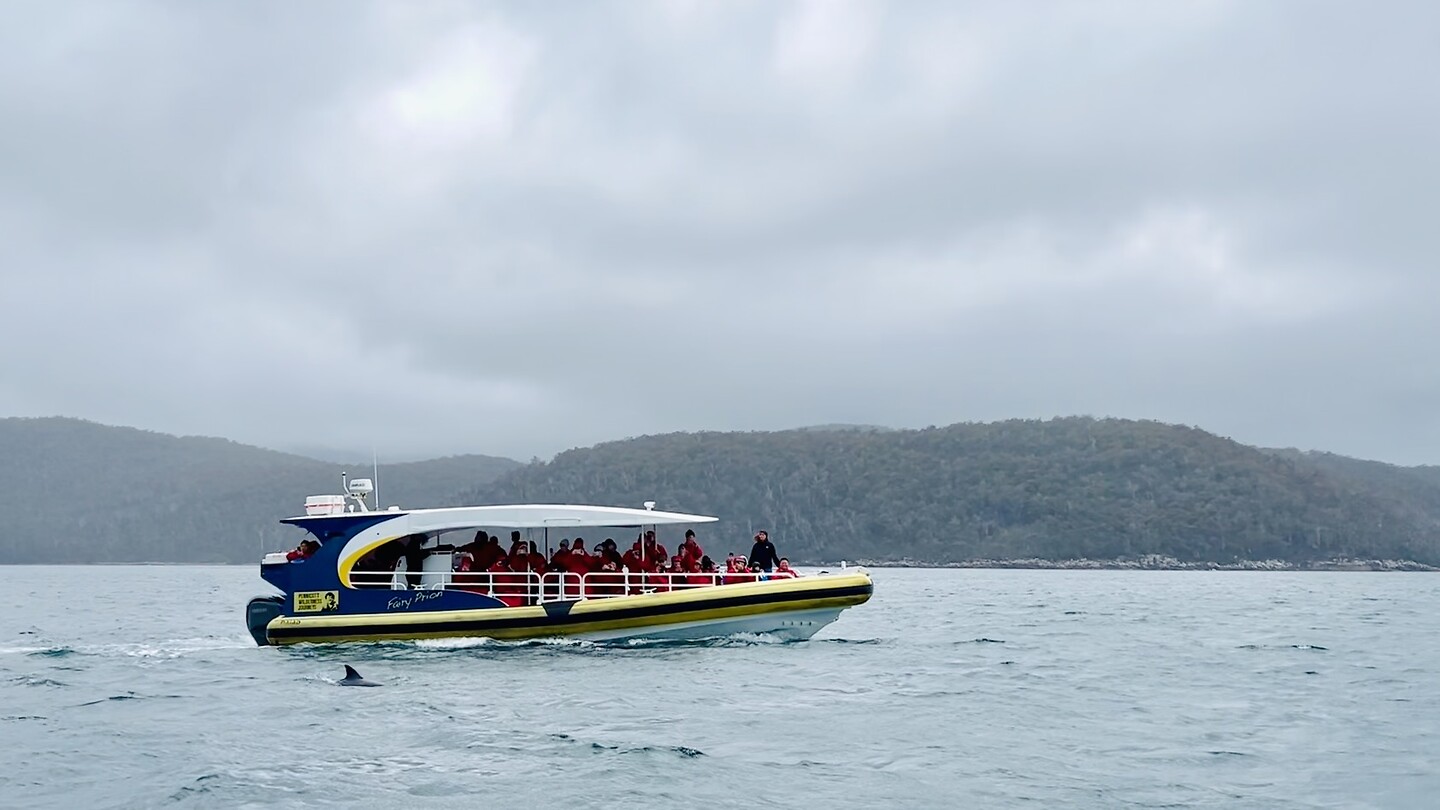 Tasman Island Wilderness Cruise