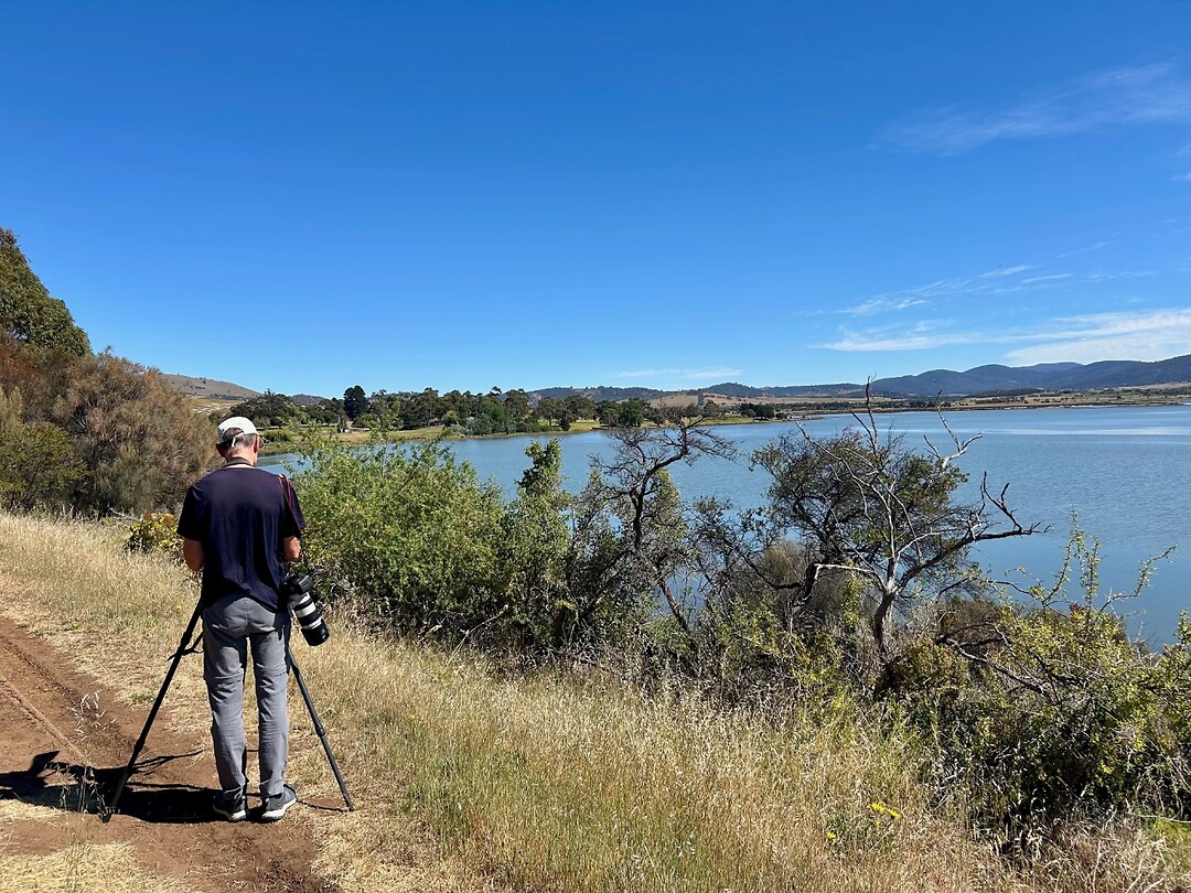 Orielton Lagoon