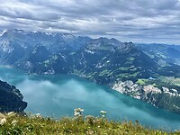IMG_3661