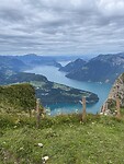 IMG_3668