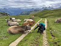IMG_3677