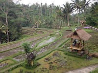 terassen bij de tempel