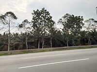 IMG_5127