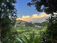 IMG_5296