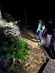 IMG_5297