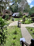 IMG_5318