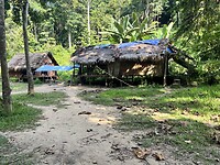IMG_5337