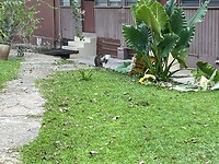 IMG_5338