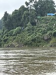 IMG_5350