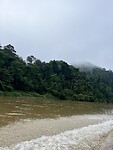 IMG_5356