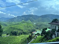 IMG_5364