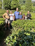 IMG_5380