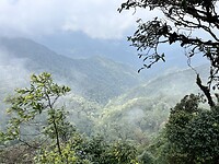 IMG_5392