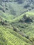 IMG_5400