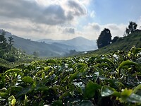IMG_5370