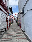 IMG_5422