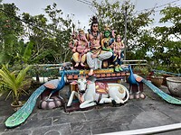 IMG_5446