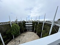 IMG_5435