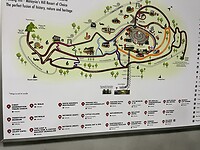 IMG_5426