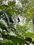 IMG_5442
