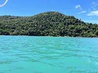 IMG_5498
