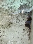IMG_5496