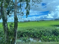IMG_5521
