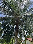 IMG_5530