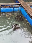 IMG_5542