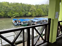 IMG_5534