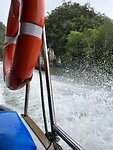 IMG_5537