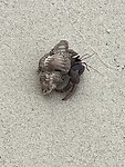 IMG_5571