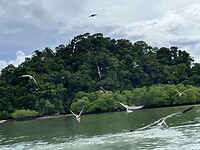 IMG_5567